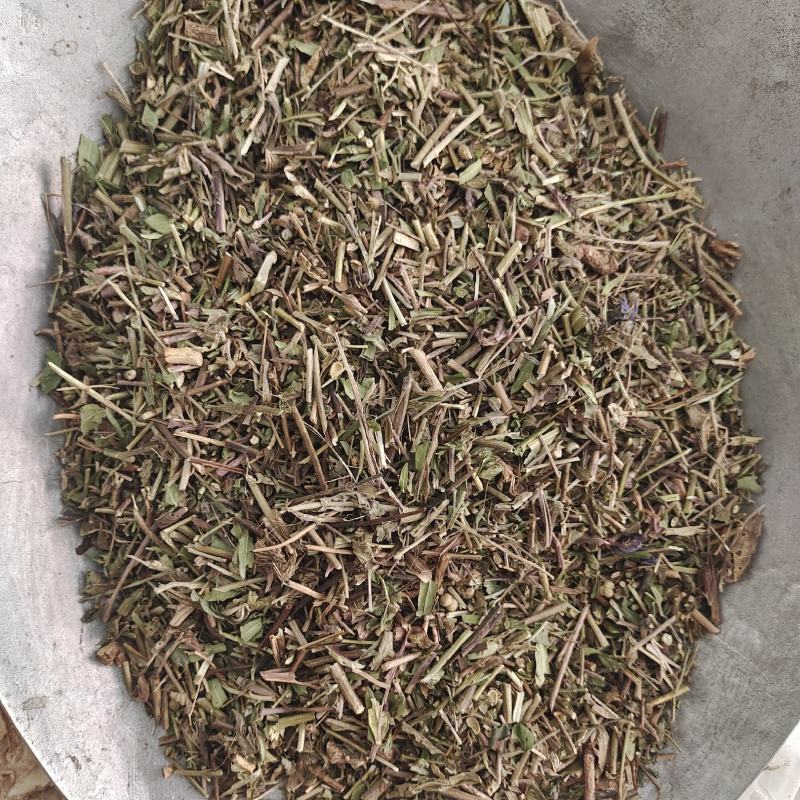 透骨草，新货，过筛，产地货源，保质保量，批发各种中药材欢