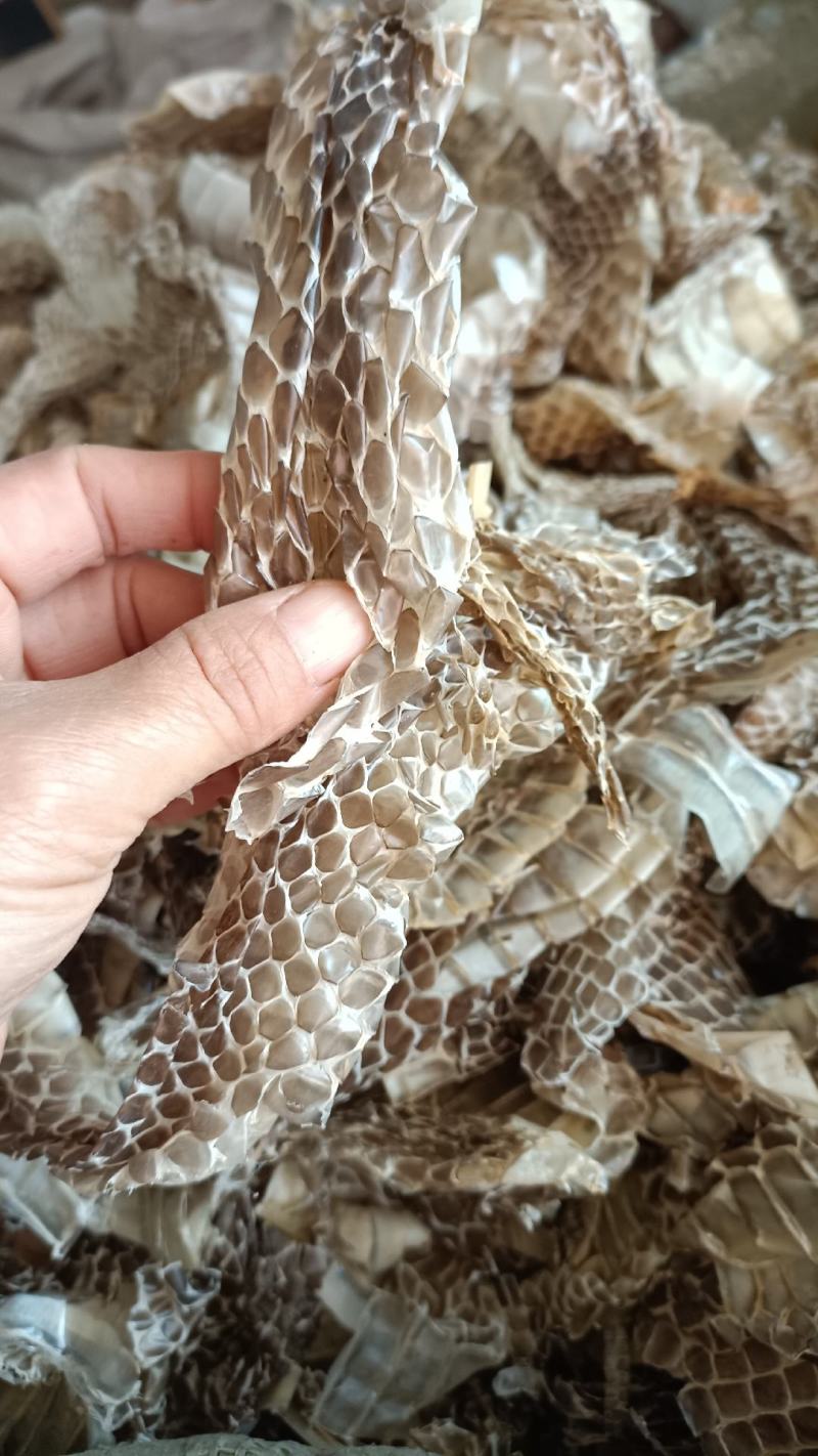 蛇蜕，龙衣，水洗干净无杂，支持在线下单