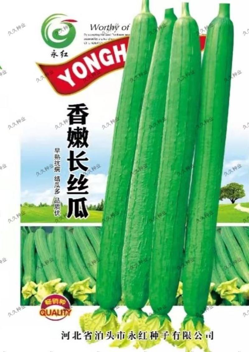 香嫩长香丝瓜种子顺直早熟高产盆栽耐热爬藤特长肉丝瓜种籽