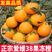 爱媛38号果冻橙正宗新鲜当季柑橘桔手剥橙子一件代发包邮