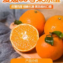 爱媛38号果冻橙正宗新鲜当季柑橘桔手剥橙子一件代发包邮