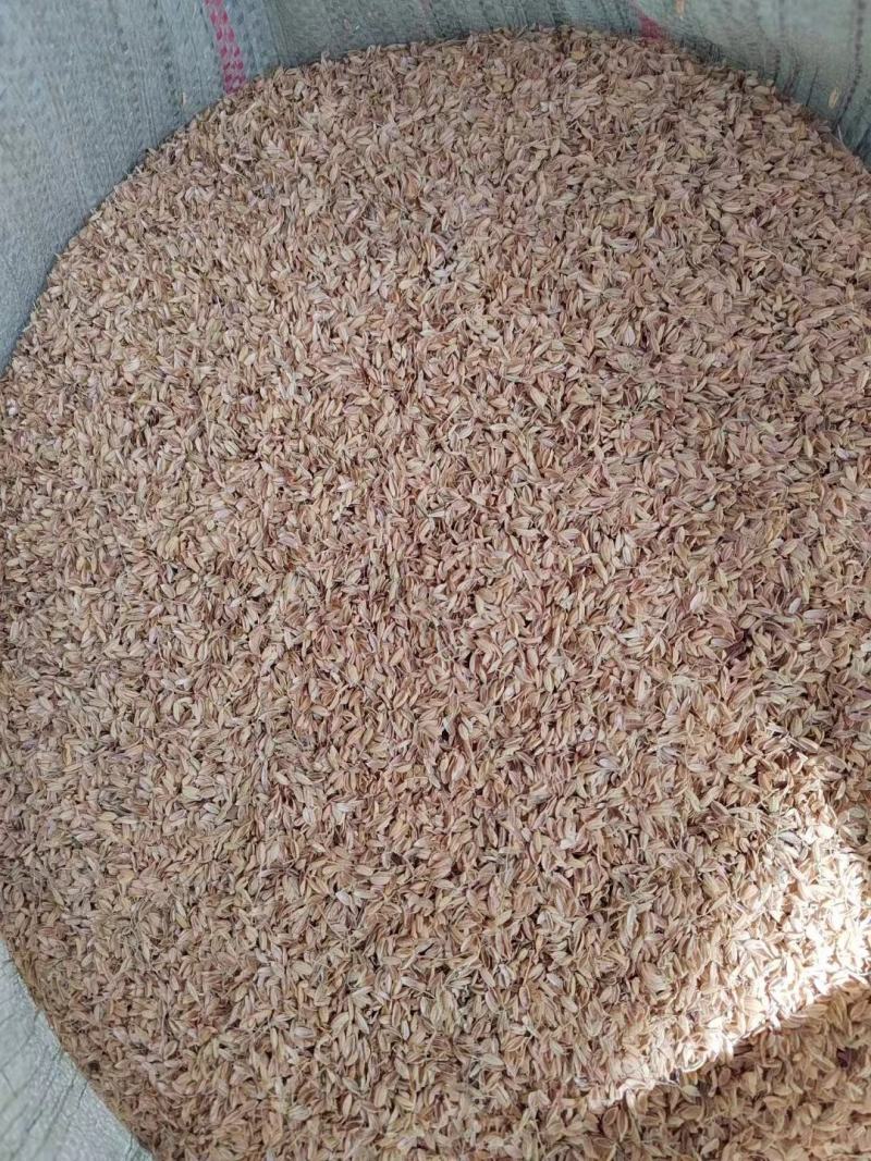 陕西打包圆壳