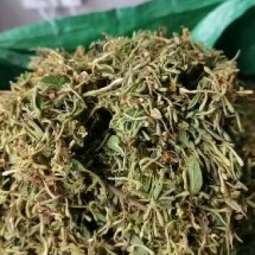 金银花统货药厂货，大量现货供应欢迎电话联系沟通洽谈业务