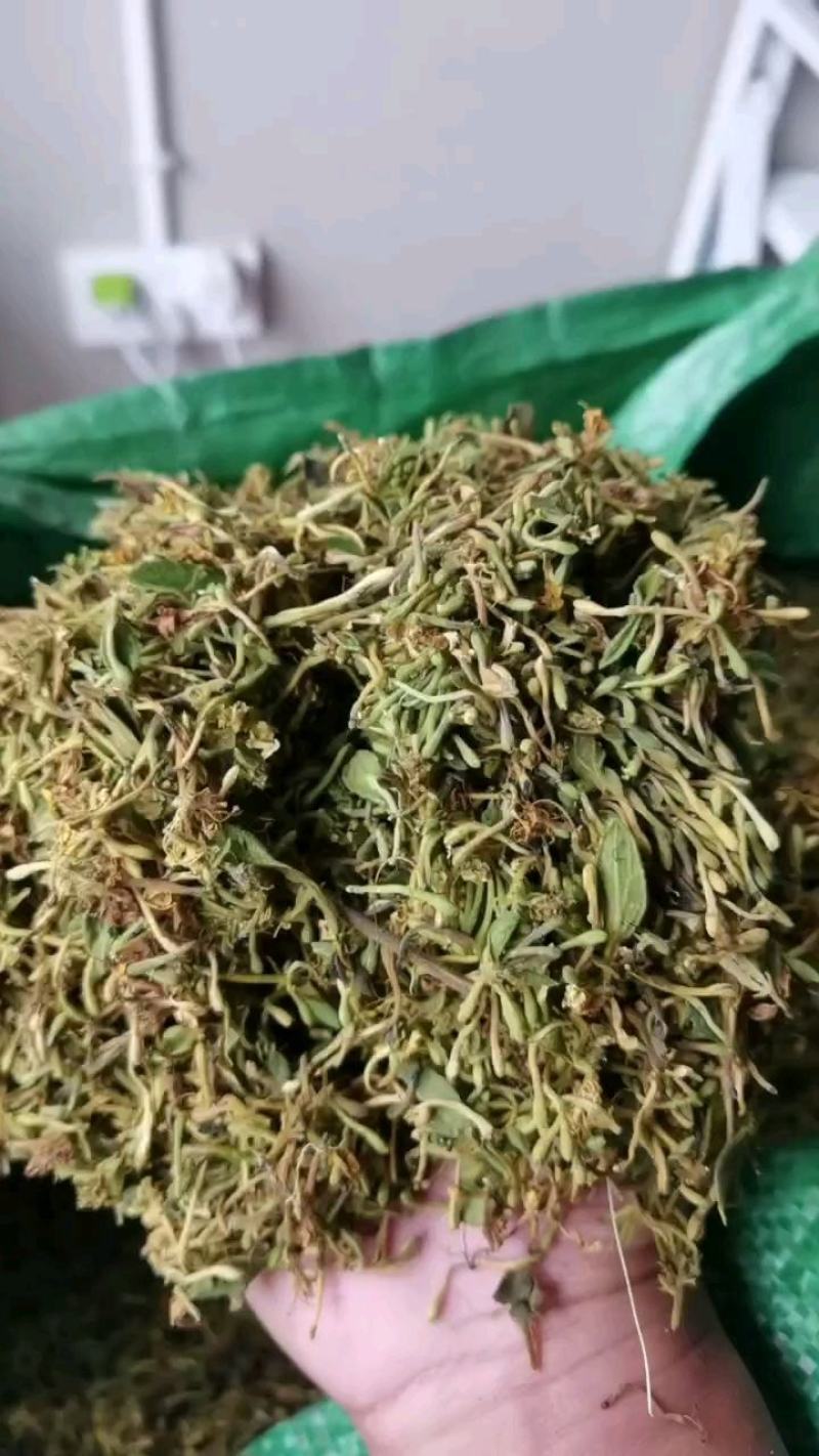 金银花统货药厂货，大量现货供应欢迎电话联系沟通洽谈业务