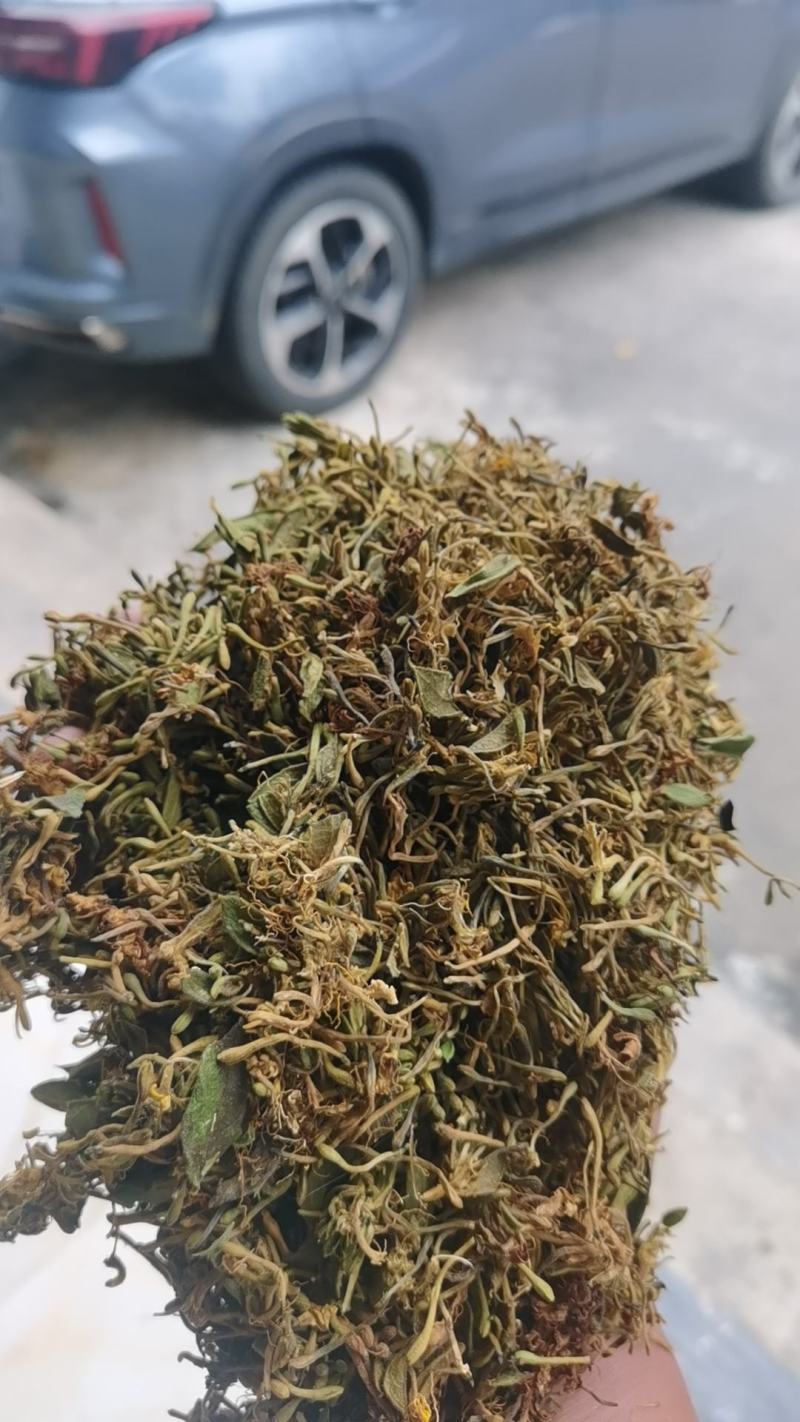 金银花统货药厂货，大量现货供应欢迎电话联系沟通洽谈业务