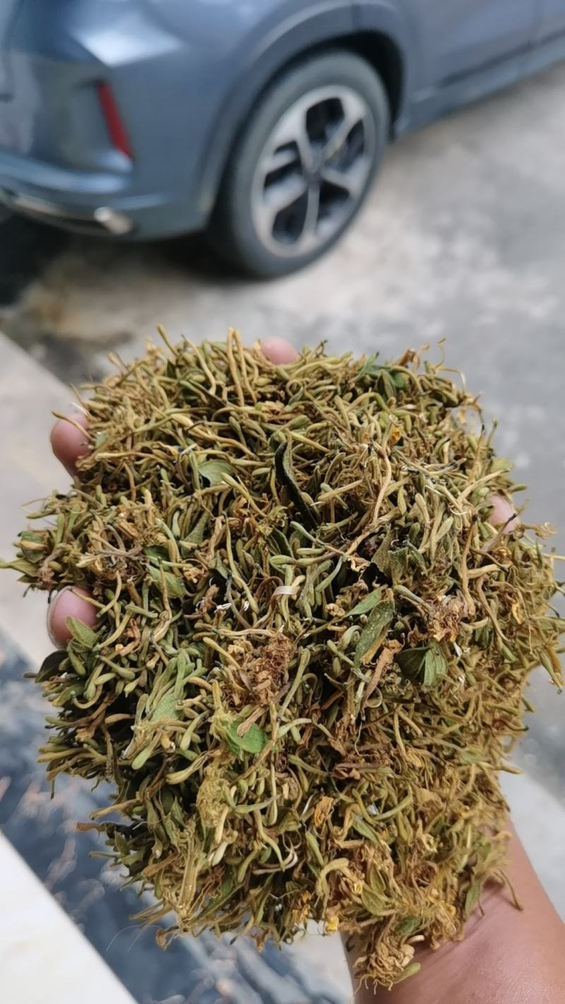 金银花统货药厂货，大量现货供应欢迎电话联系沟通洽谈业务