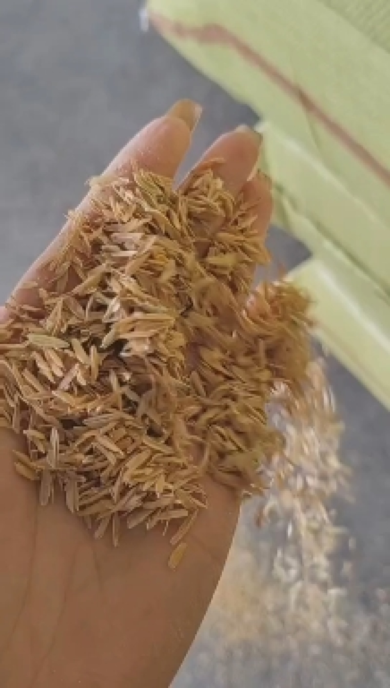 河南压缩稻壳大棚种植，养殖垫料，饲料加工