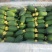 丝瓜苹果丝瓜，特菜、需要的老板联系