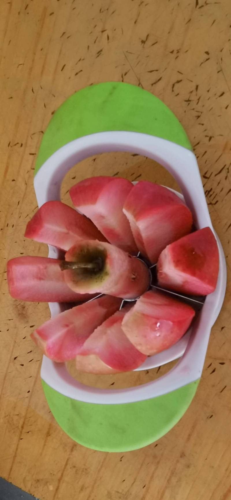 保定定兴红色之爱苹果熟了