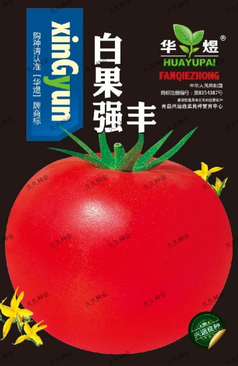 白果强丰大番茄种子水果西红柿菜籽四季播种阳台蔬菜种子