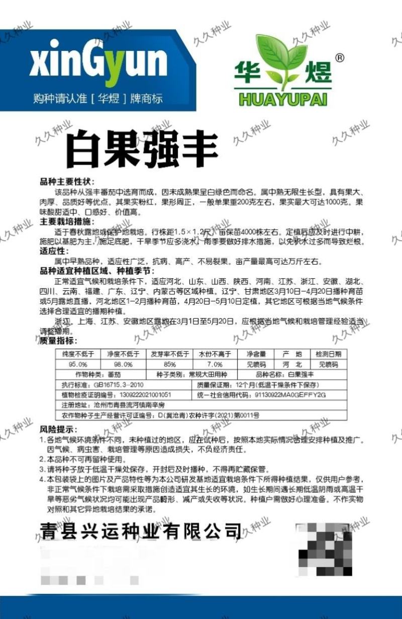 白果强丰大番茄种子水果西红柿菜籽四季播种阳台蔬菜种子