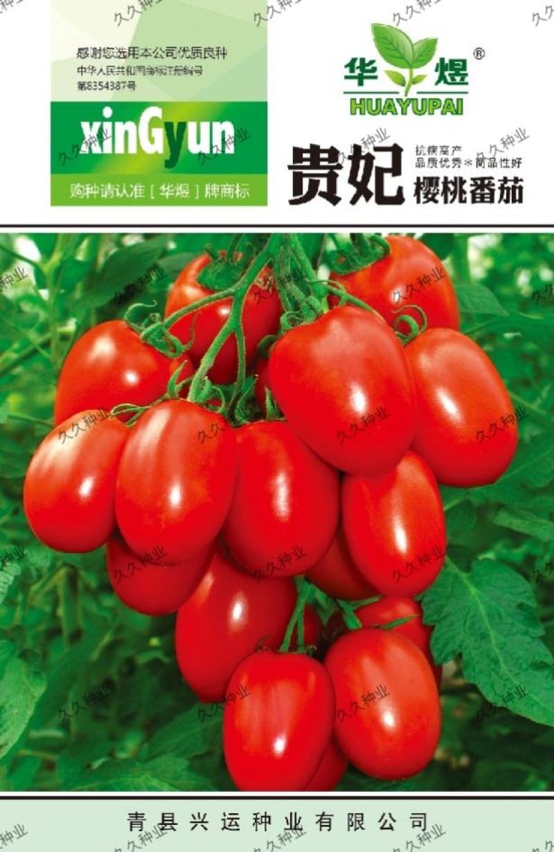 贵妃樱桃番茄种子圣女果樱桃西红柿盆栽蔬菜种子番茄籽