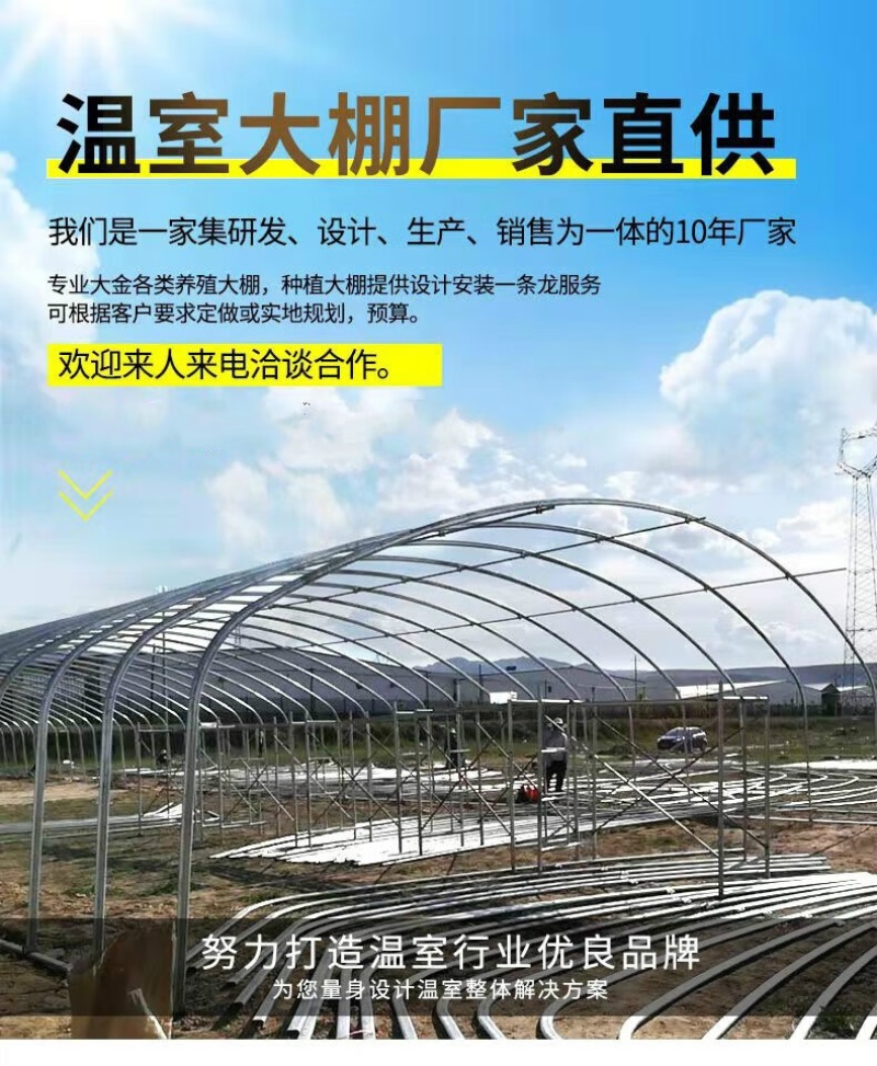 蔬菜大棚种植温室大棚管型齐全全国发货