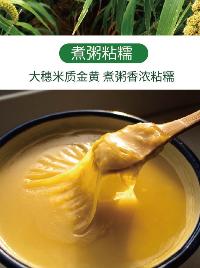 黄金香谷种子50克每袋