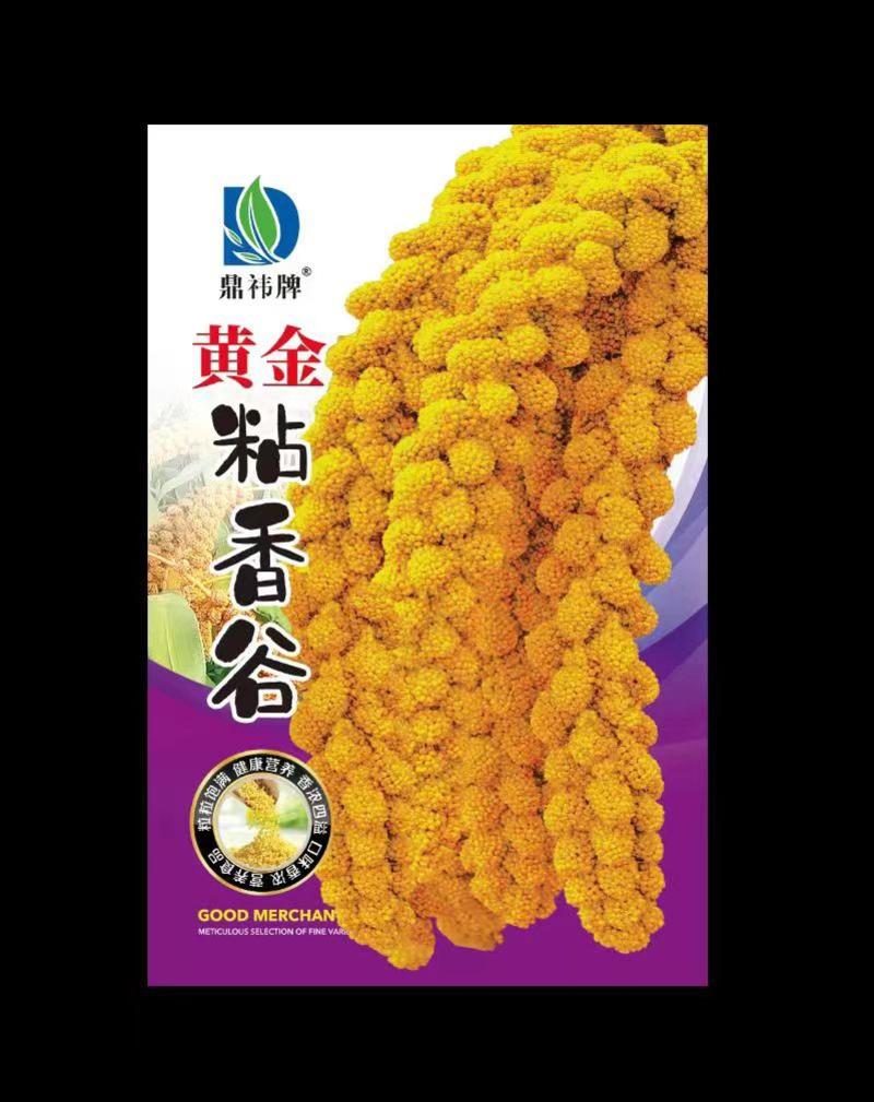 黄金香谷种子50克每袋