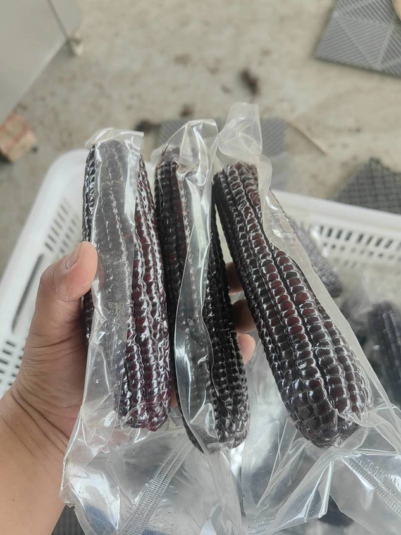 山东真空包装袋黑玉米精品货供应