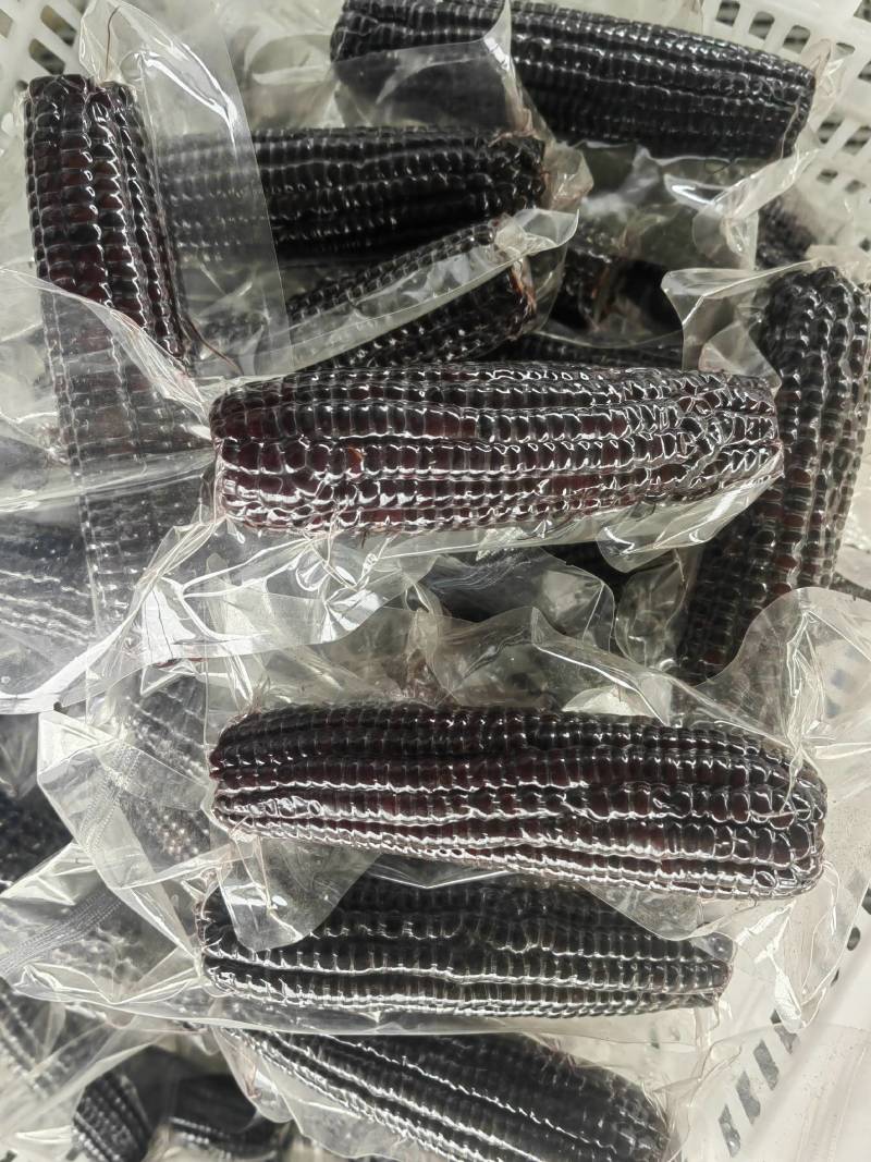 山东真空包装袋黑玉米精品货供应