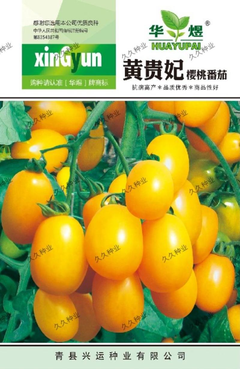 黄贵妃樱桃番茄种子超甜黄色圣女果小番茄西红柿种籽