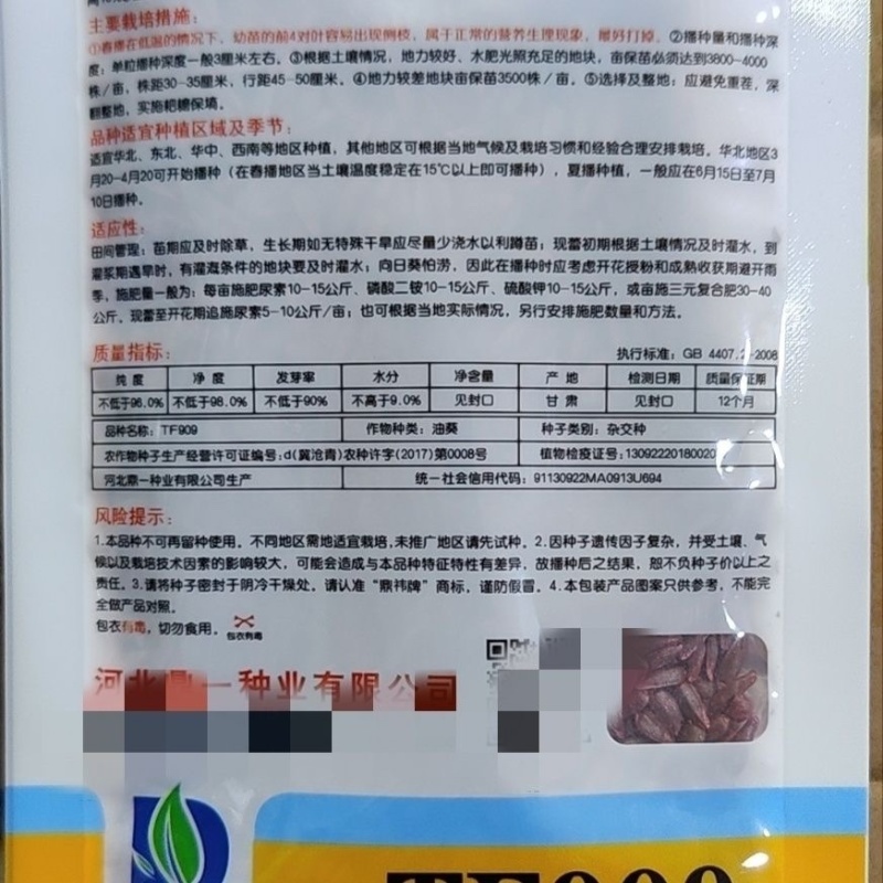 美国矮大头TF909原装三系杂交原种高产型油葵种子