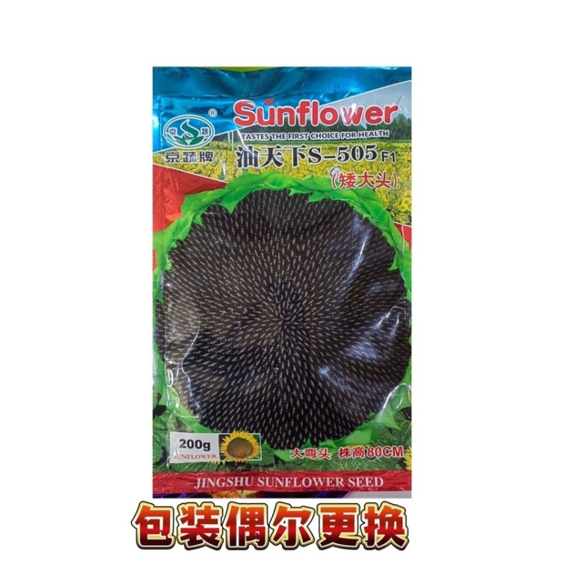 油天下S505油葵籽矮大头高产油葵杂交种子