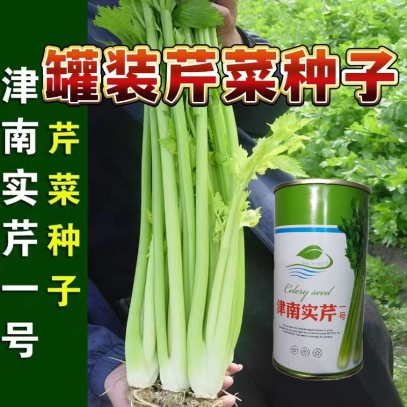 大田用种津南实芹种子80克