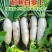 白玉萝卜种子水果型春秋四季播种耐抽薹高产抗病蔬菜种籽