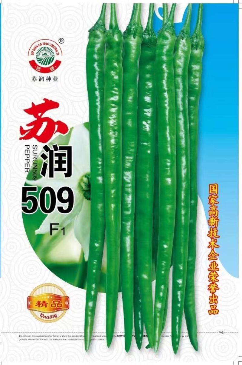 线椒种子苏润509长果线椒品种长35＿45厘米顺直