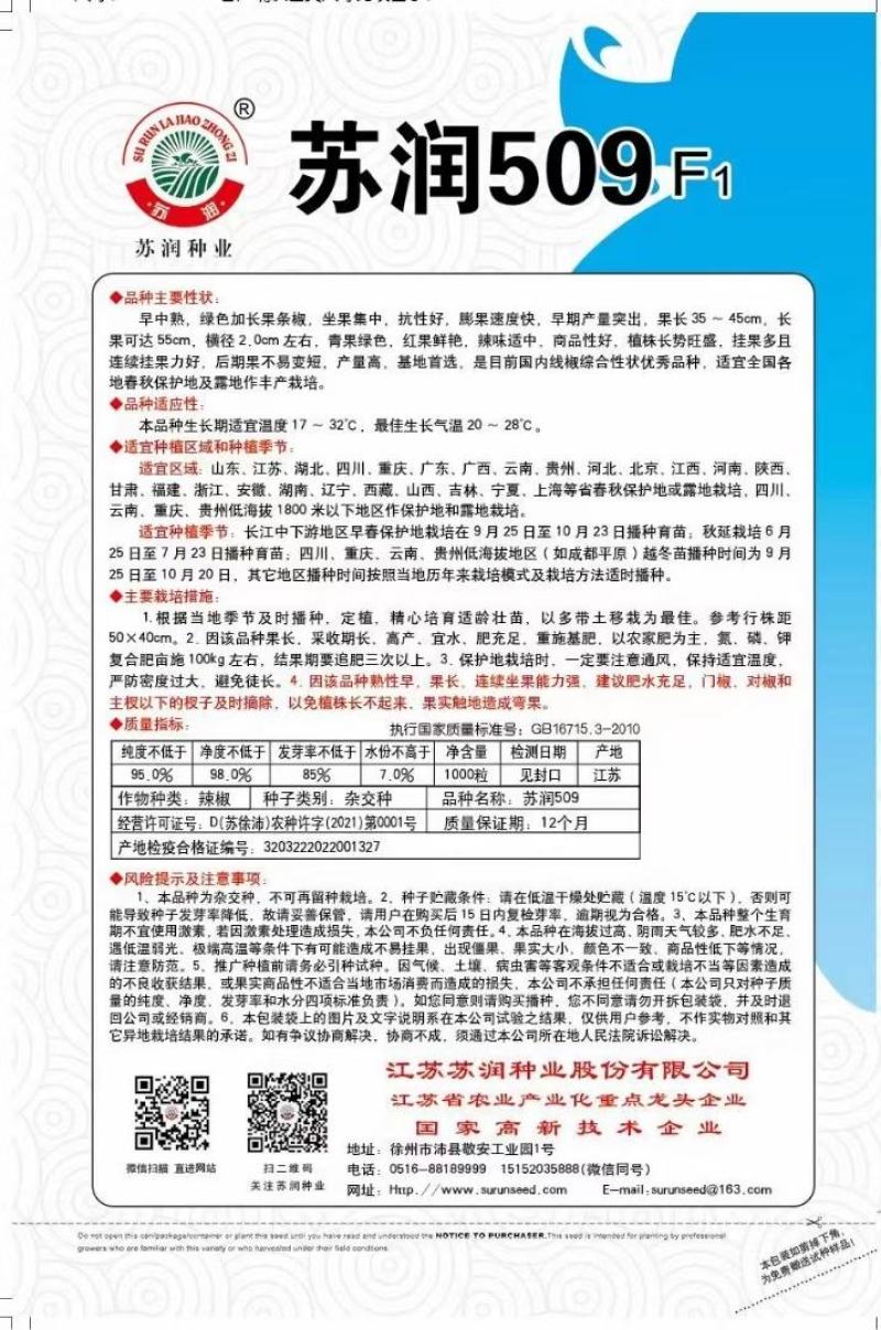 线椒种子苏润509长果线椒品种长35＿45厘米顺直
