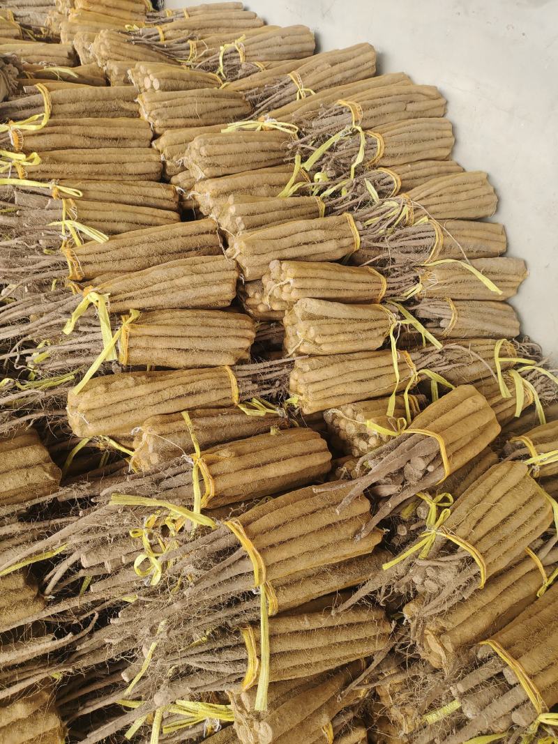 【双棒山药】山东菏泽山药产地供应品质保证价格美丽