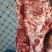 剔骨羊肉