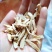 【包邮】甘肃黄芪片500g正切斜切无硫黄芪