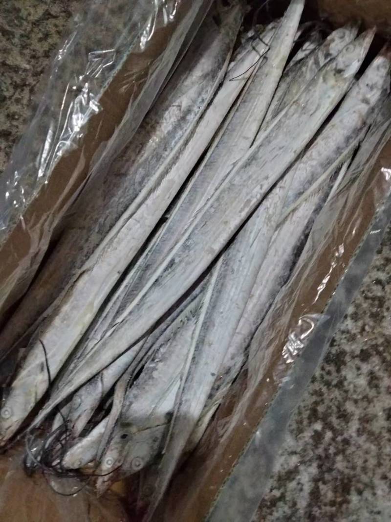 精品带鱼2/3两，3/4两，5/6两