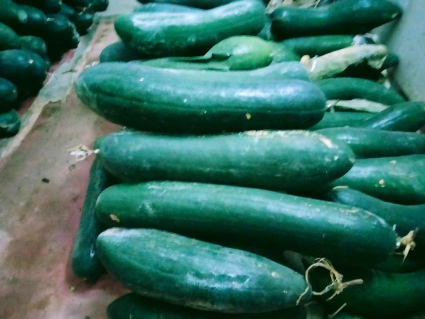 黑皮冬瓜深加工产品展示台