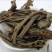 独一味，新货无硫产地直发，冷背药材大全，实拍现货