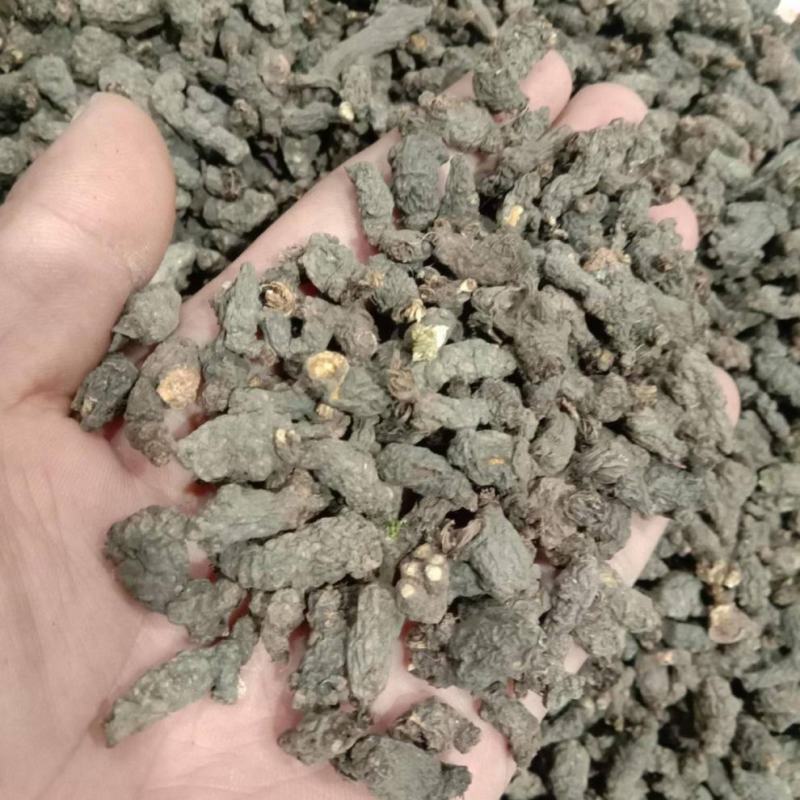 天葵子，千年老鼠屎，地丁子，金耗子屎，现货