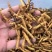 天葵子,千年老鼠屎,地丁子,金耗子屎,现货