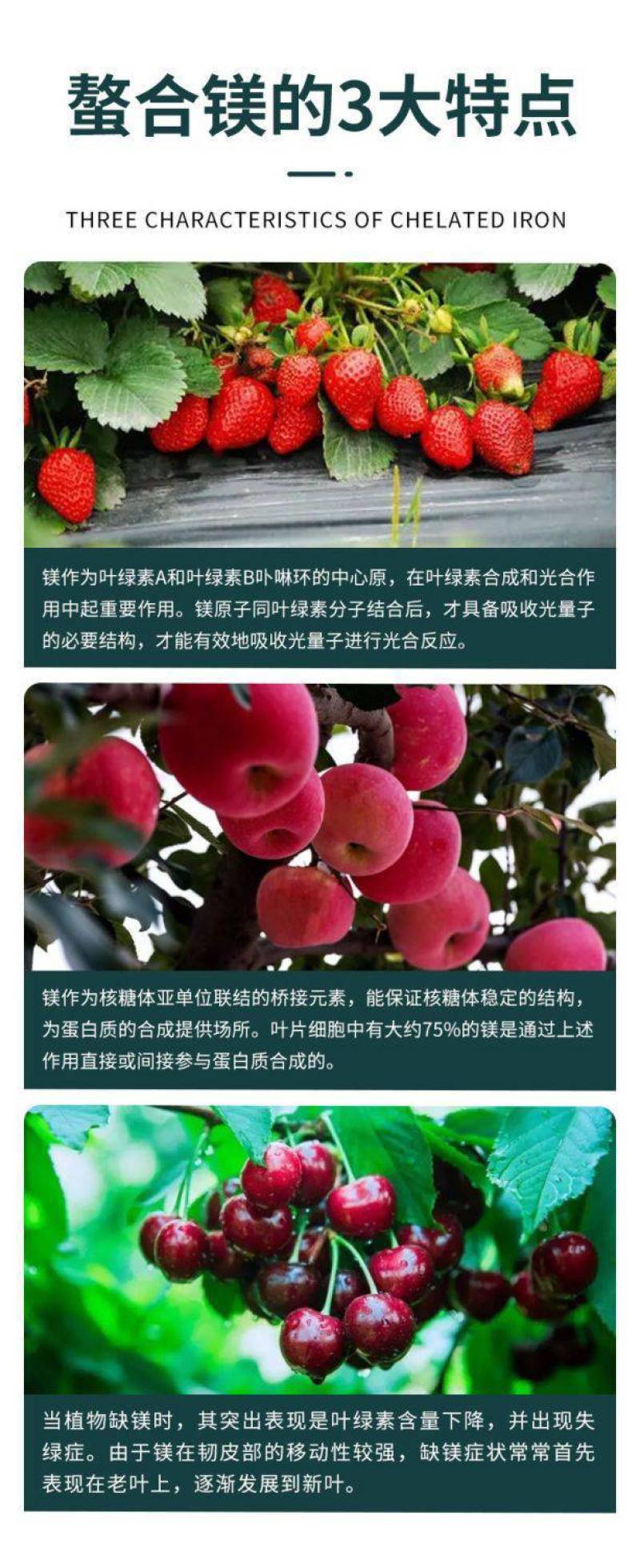 镁肥螯合镁叶面肥黄叶转绿果树蔬菜大田种花补镁中微量元素水