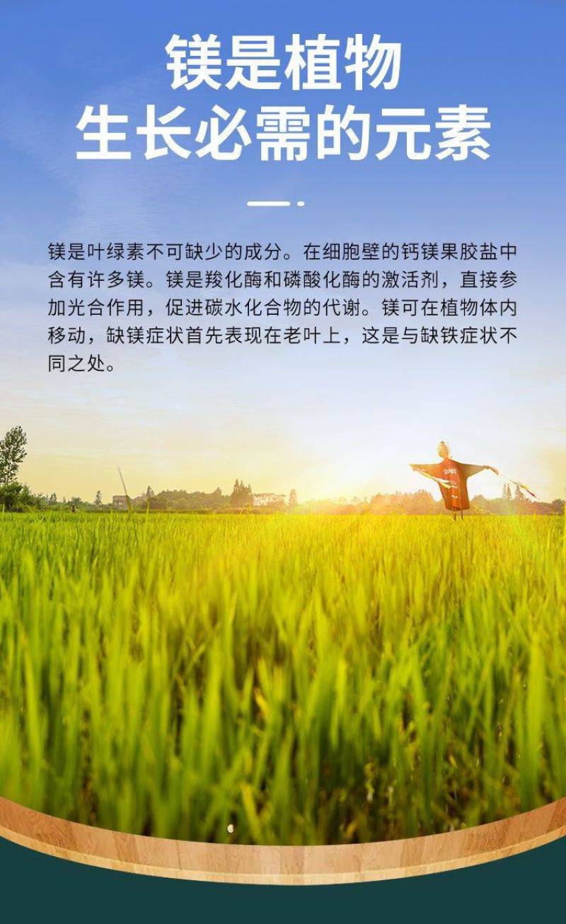 镁肥螯合镁叶面肥黄叶转绿果树蔬菜大田种花补镁中微量元素水