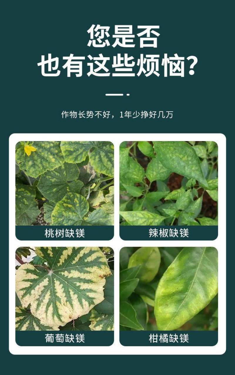 镁肥螯合镁叶面肥黄叶转绿果树蔬菜大田种花补镁中微量元素水