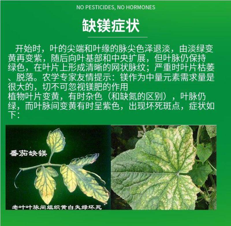 镁肥螯合镁叶面肥黄叶转绿果树蔬菜大田种花补镁中微量元素水