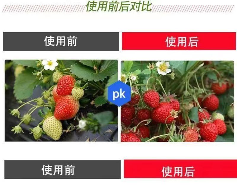 草莓专用肥高钾高钙桶装草莓生根壮苗膨果着色农用有机冲施肥