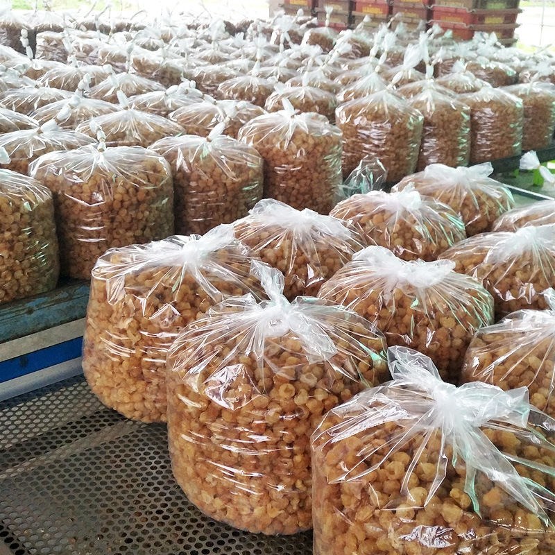 新货无核桂圆肉干莆田老树桂圆大粒肉厚龙眼肉空心肉无添加