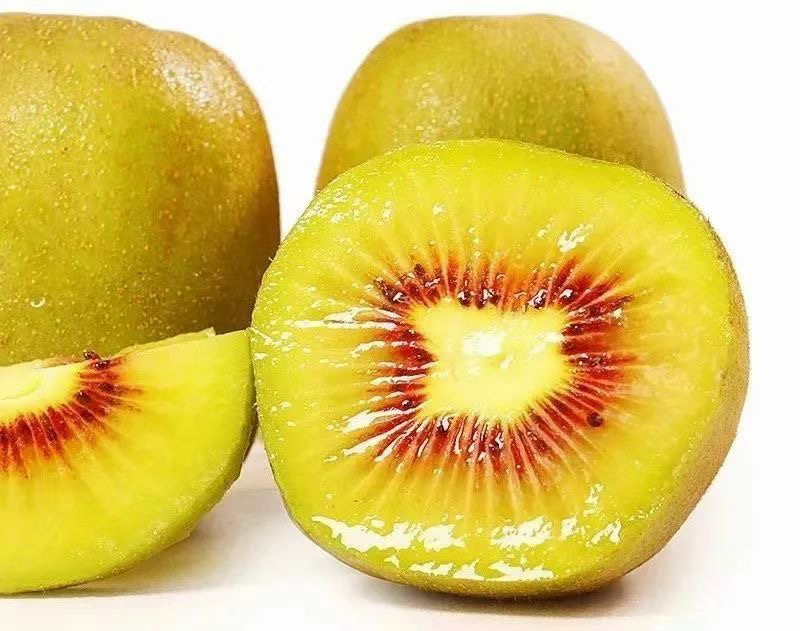 红心猕猴桃果实特写
