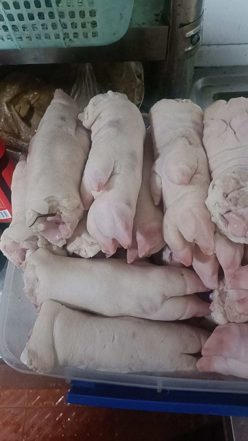 猪蹄和寸排