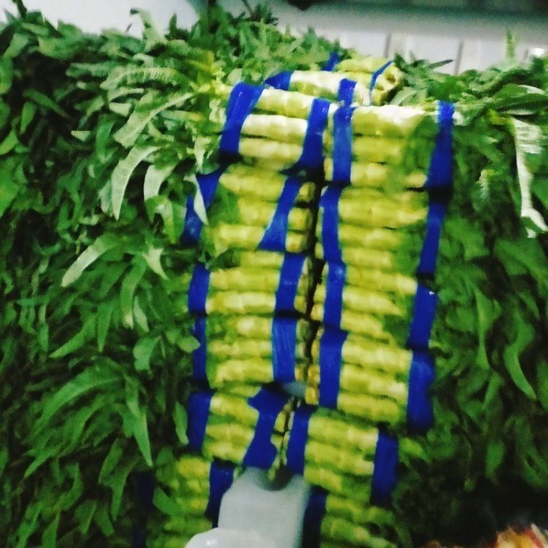 山东临沂尖叶莴笋，莴苣，青皮青肉，产地直销。