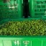 精品油橄榄果