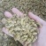 新疆绿葡萄干中大颗粒货源充足对接商超电商批发商