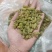 新疆绿葡萄干中大颗粒货源充足对接商超电商批发商