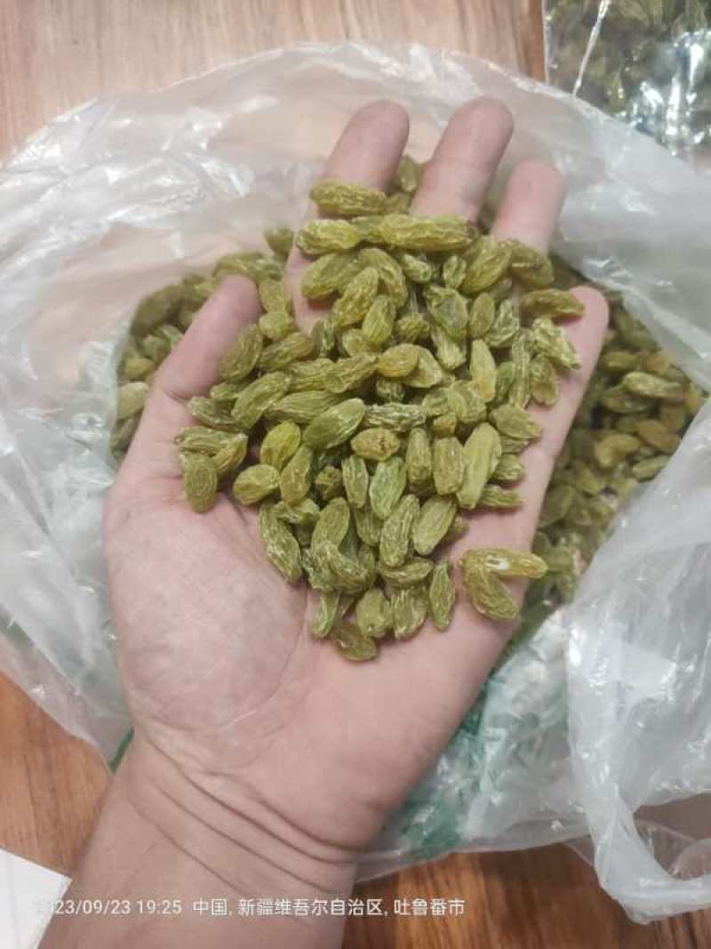 新疆绿葡萄干中大颗粒货源充足对接商超电商批发商