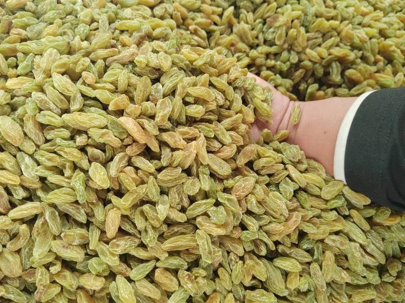 新疆葡萄干绿宝石葡萄干树上黄葡萄干全国发货